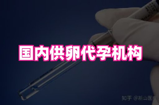 江苏助孕网 2