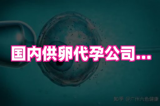 江苏助孕网 4
